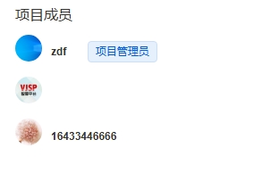 项目成员